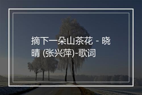 摘下一朵山茶花 - 晓晴 (张兴萍)-歌词