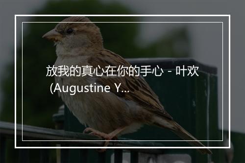 放我的真心在你的手心 - 叶欢 (Augustine Yeh)-歌词