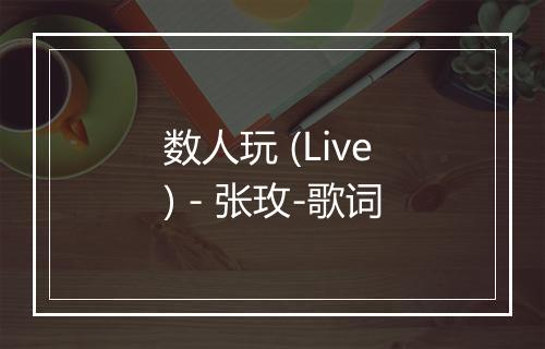 数人玩 (Live) - 张玫-歌词