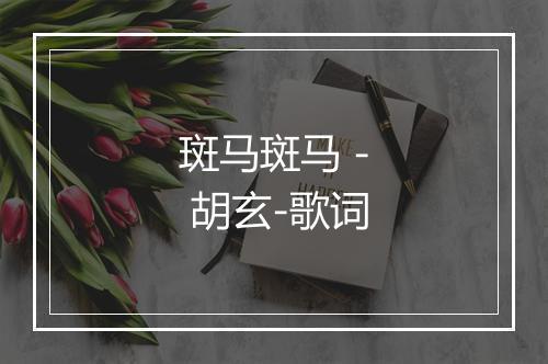 斑马斑马 - 胡玄-歌词