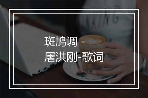 斑鸠调 - 屠洪刚-歌词