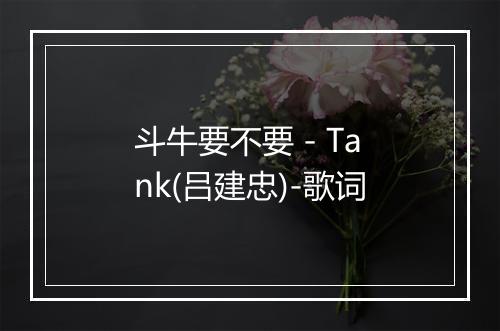 斗牛要不要 - Tank(吕建忠)-歌词