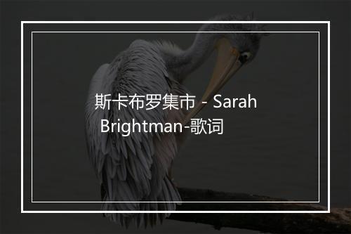 斯卡布罗集市 - Sarah Brightman-歌词