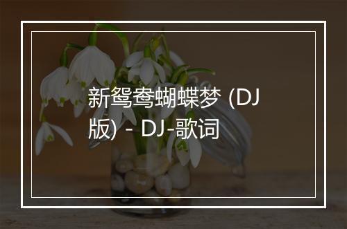 新鸳鸯蝴蝶梦 (DJ版) - DJ-歌词