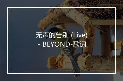 无声的告别 (Live) - BEYOND-歌词