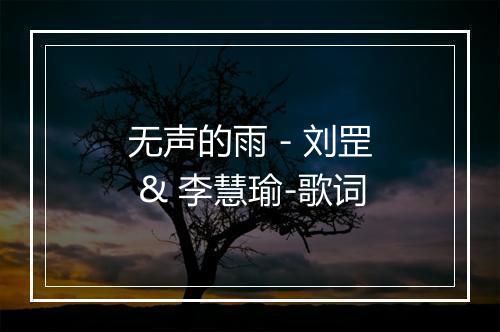 无声的雨 - 刘罡 & 李慧瑜-歌词