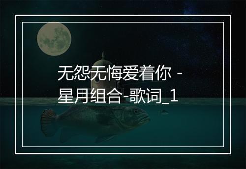 无怨无悔爱着你 - 星月组合-歌词_1