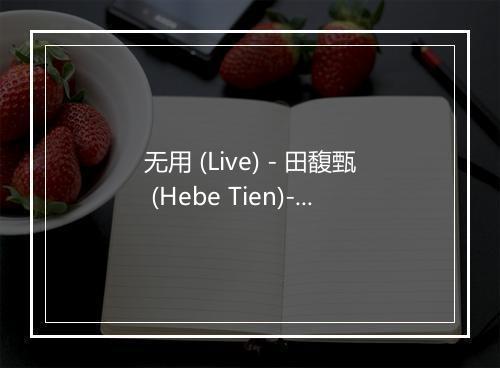 无用 (Live) - 田馥甄 (Hebe Tien)-歌词