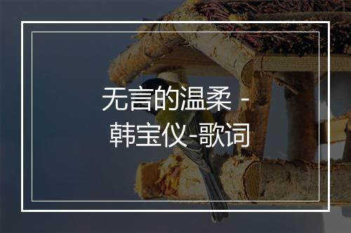 无言的温柔 - 韩宝仪-歌词