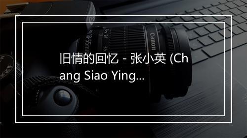 旧情的回忆 - 张小英 (Chang Siao Ying)-歌词