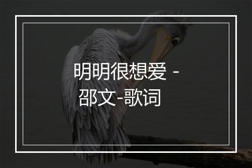 明明很想爱 - 邵文-歌词