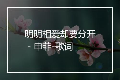 明明相爱却要分开 - 申菲-歌词