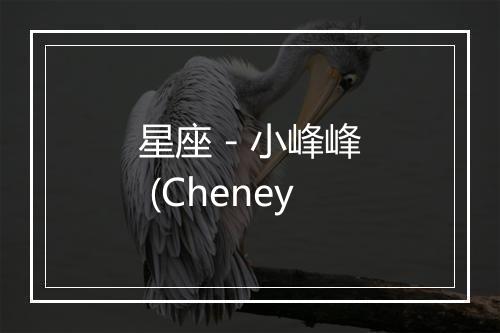 星座 - 小峰峰 (Cheney