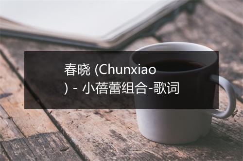 春晓 (Chunxiao) - 小蓓蕾组合-歌词