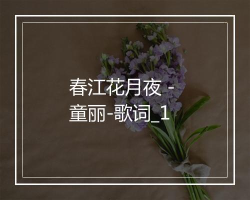 春江花月夜 - 童丽-歌词_1