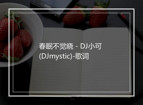 春眠不觉晓 - DJ小可 (DJmystic)-歌词