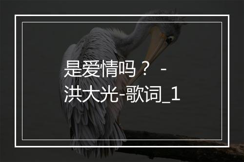 是爱情吗？ - 洪大光-歌词_1