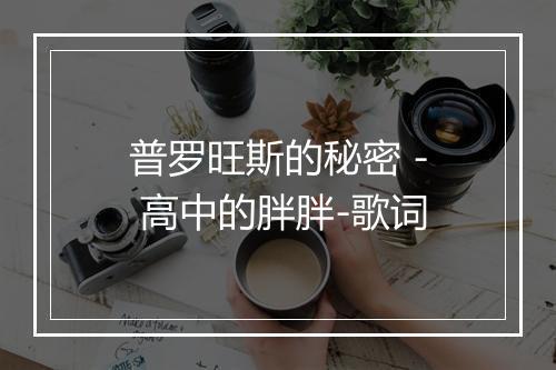 普罗旺斯的秘密 - 高中的胖胖-歌词