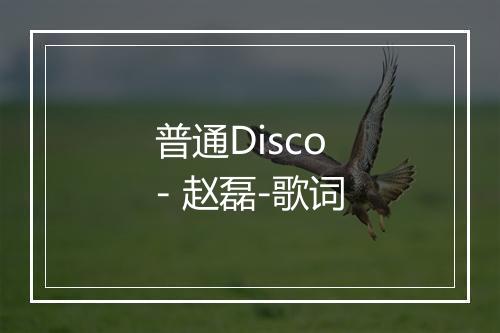 普通Disco - 赵磊-歌词