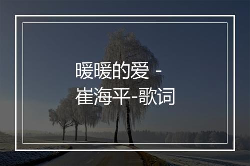 暖暖的爱 - 崔海平-歌词