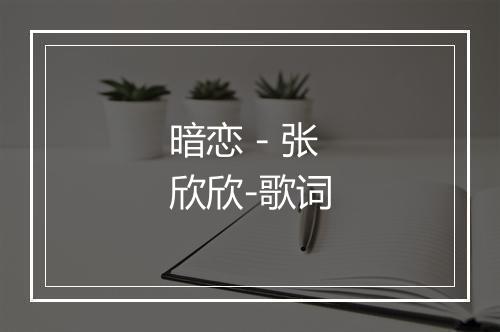 暗恋 - 张欣欣-歌词