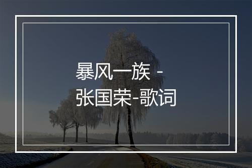 暴风一族 - 张国荣-歌词