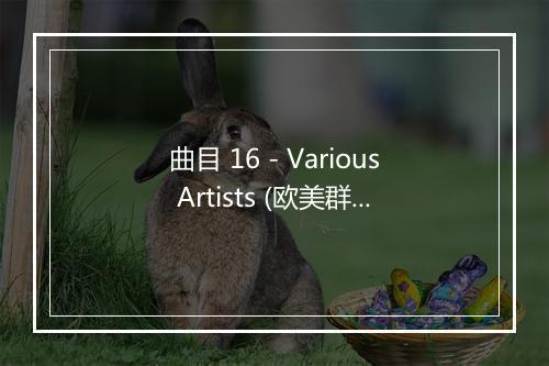 曲目 16 - Various Artists (欧美群星)-歌词