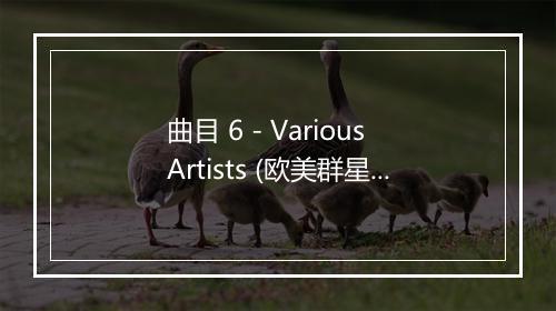 曲目 6 - Various Artists (欧美群星)-歌词