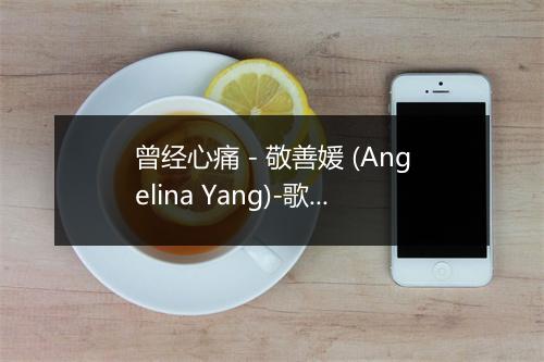 曾经心痛 - 敬善媛 (Angelina Yang)-歌词