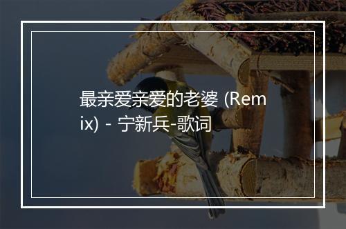 最亲爱亲爱的老婆 (Remix) - 宁新兵-歌词