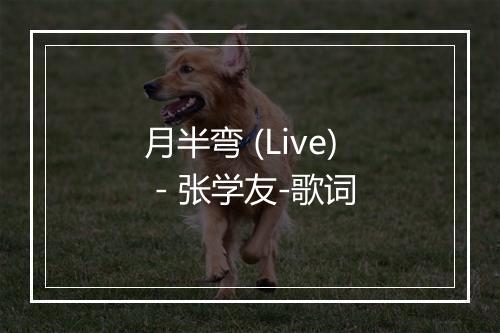 月半弯 (Live) - 张学友-歌词