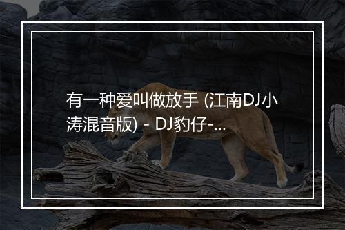 有一种爱叫做放手 (江南DJ小涛混音版) - DJ豹仔-歌词