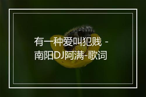 有一种爱叫犯贱 - 南阳DJ阿满-歌词