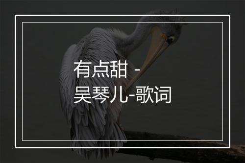 有点甜 - 吴琴儿-歌词