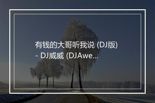 有钱的大哥听我说 (DJ版) - DJ威威 (DJAwei)-歌词