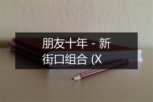 朋友十年 - 新街口组合 (X