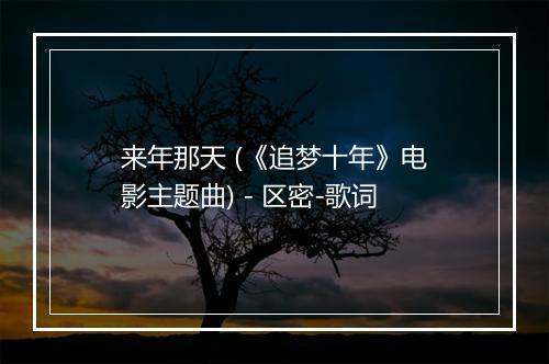 来年那天 (《追梦十年》电影主题曲) - 区密-歌词