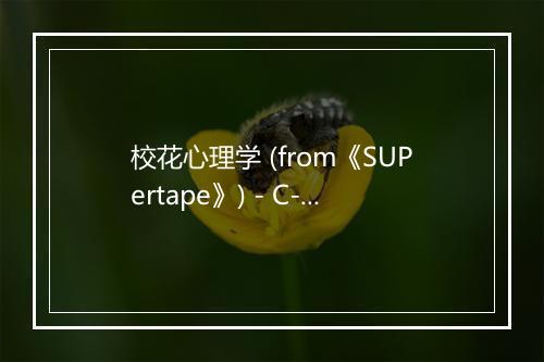 校花心理学 (from《SUPertape》) - C-block-歌词