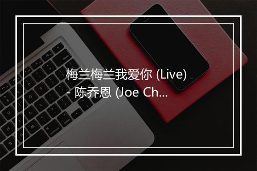 梅兰梅兰我爱你 (Live) - 陈乔恩 (Joe Chen)-歌词