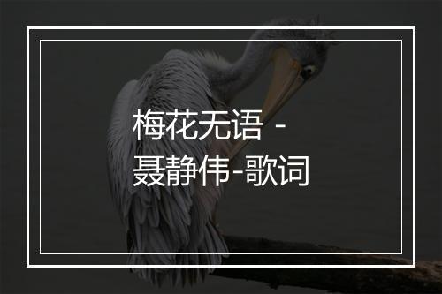 梅花无语 - 聂静伟-歌词