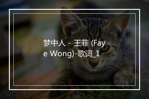 梦中人 - 王菲 (Faye Wong)-歌词_1