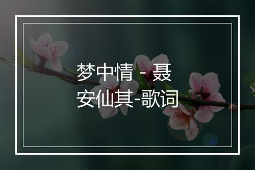 梦中情 - 聂安仙其-歌词