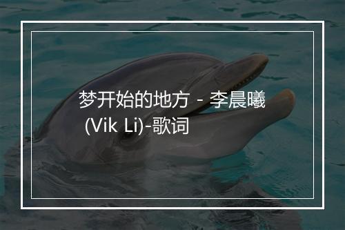 梦开始的地方 - 李晨曦 (Vik Li)-歌词