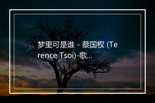 梦里可是谁 - 蔡国权 (Terence Tsoi)-歌词