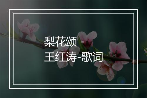 梨花颂 - 王红涛-歌词