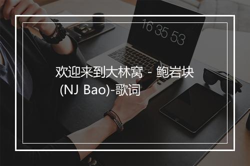 欢迎来到大林窝 - 鲍岩块 (NJ Bao)-歌词