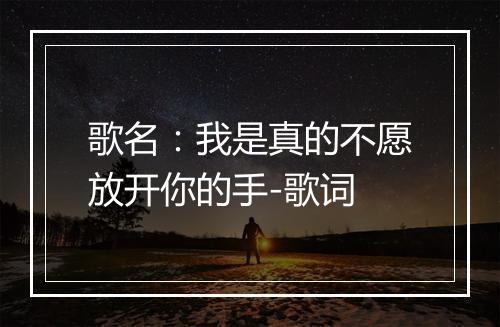 歌名：我是真的不愿放开你的手-歌词