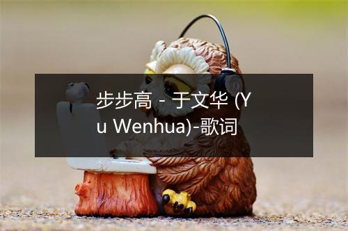 步步高 - 于文华 (Yu Wenhua)-歌词