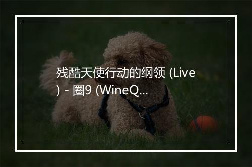 残酷天使行动的纲领 (Live) - 圈9 (WineQ)-歌词