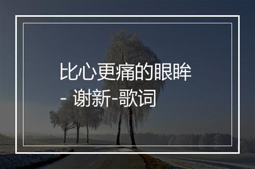 比心更痛的眼眸 - 谢新-歌词